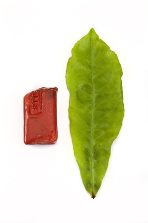 Block of sealing wax used by John Dalton, c.1830, with a laurel leaf.